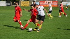 FOT01481