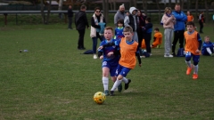 FOT07891