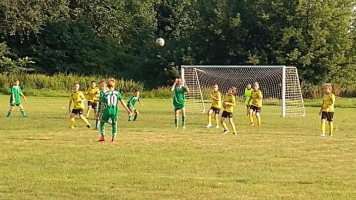 Wicher Dobra- Tur 1921 Turek 1:17, d2