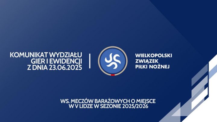Wilki Wilczyn w V lidze