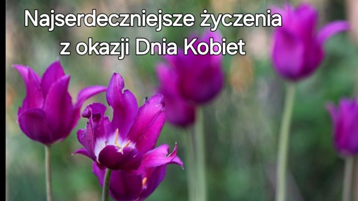 Dzień Kobiet